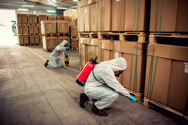 Best Bed Bug Extermination  in Village Green, NY