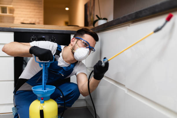 Best Affordable Pest Control Services  in Village Green, NY