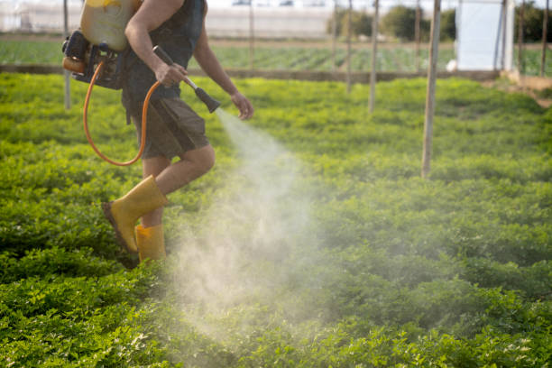 Best Best Pest Control Companies  in Village Green, NY