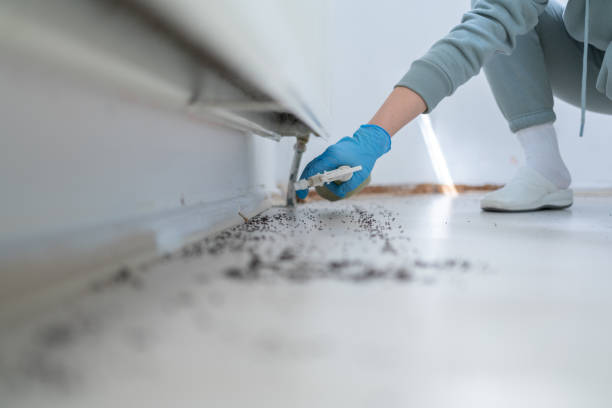 Best Commercial Pest Control Services  in Village Green, NY
